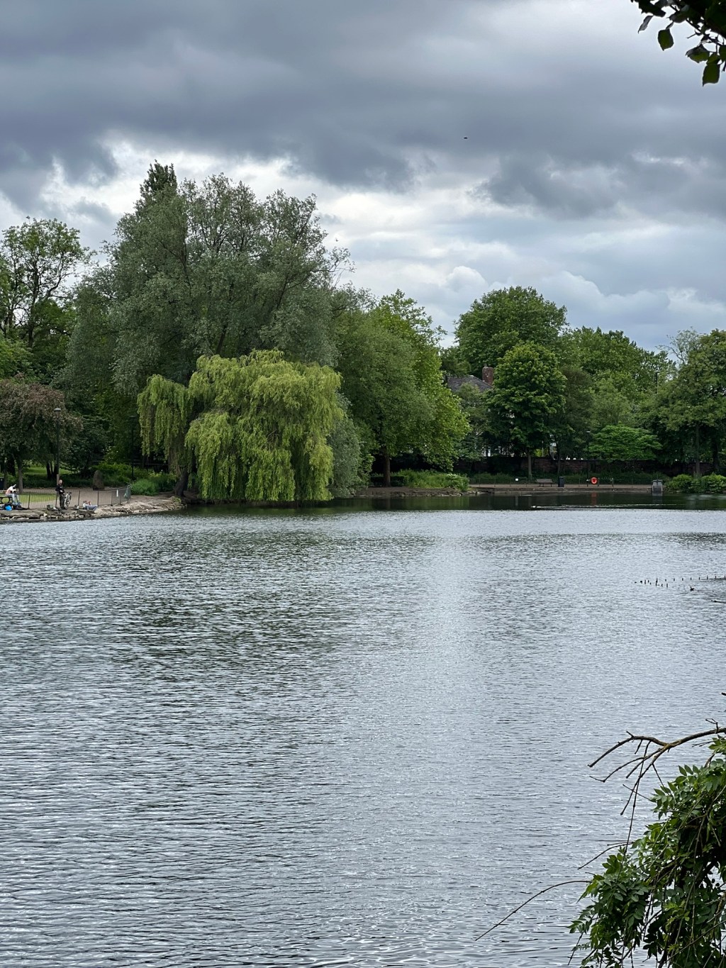 The Compliments We Never&nbsp;Give